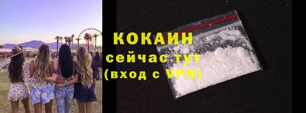 твердый Инсар