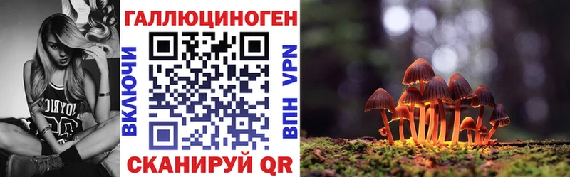 где найти   Вичуга  Псилоцибиновые грибы мухоморы 